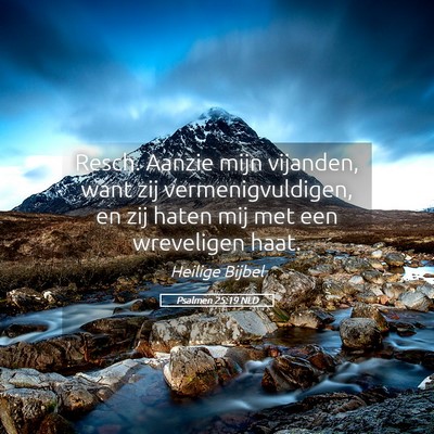 Picture 05 - Psalmen 25:19 NLD - Resch. Aanzie mijn vijanden, want zij - Bible Verse Picture