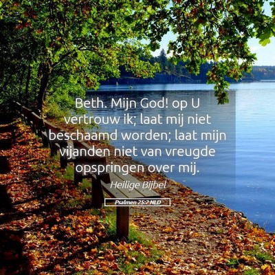 Picture 05 - Psalmen 25:2 NLD - Beth. Mijn God! op U vertrouw ik; laat mij niet - Bible Verse Picture