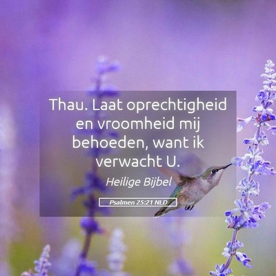 Picture 05 - Psalmen 25:21 NLD - Thau. Laat oprechtigheid en vroomheid mij - Bible Verse Picture