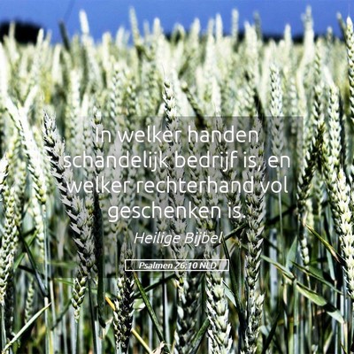 Picture 05 - Psalmen 26:10 NLD - In welker handen schandelijk bedrijf is, en - Bible Verse Picture