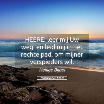 Picture 05 - Psalmen 27:11 NLD - HEERE! leer mij Uw weg, en leid mij in het rechte - Bible Verse Picture