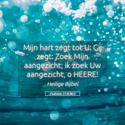 Picture 05 - Psalmen 27:8 NLD - Mijn hart zegt tot U: Gij zegt: Zoek Mijn - Bible Verse Picture