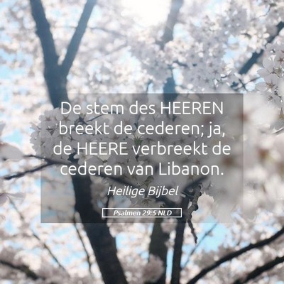 Picture 05 - Psalmen 29:5 NLD - De stem des HEEREN breekt de cederen; ja, de - Bible Verse Picture