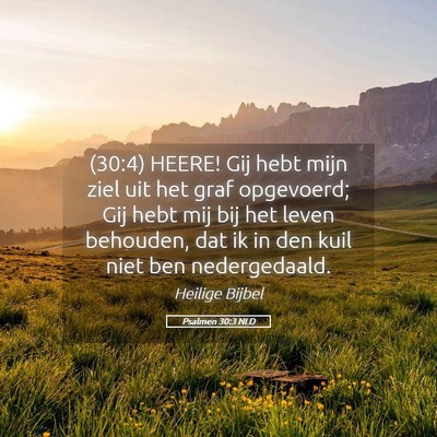 Picture 05 - Psalmen 30:3 NLD - (30:4) HEERE! Gij hebt mijn ziel uit het graf - Bible Verse Picture