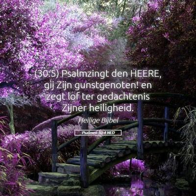 Picture 05 - Psalmen 30:4 NLD - (30:5) Psalmzingt den HEERE, gij Zijn - Bible Verse Picture