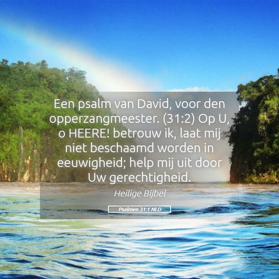 Picture 05 - Psalmen 31:1 NLD - Een psalm van David, voor den opperzangmeester. - Bible Verse Picture