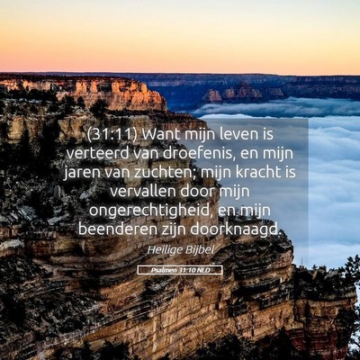 Picture 05 - Psalmen 31:10 NLD - (31:11) Want mijn leven is verteerd van - Bible Verse Picture