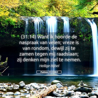 Picture 05 - Psalmen 31:13 NLD - (31:14) Want ik hoorde de naspraak van velen; - Bible Verse Picture