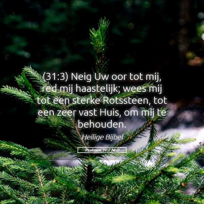 Picture 05 - Psalmen 31:2 NLD - (31:3) Neig Uw oor tot mij, red mij haastelijk; - Bible Verse Picture