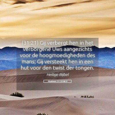 Picture 05 - Psalmen 31:20 NLD - (31:21) Gij verbergt hen in het verborgene Uws - Bible Verse Picture