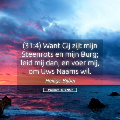 Picture 05 - Psalmen 31:3 NLD - (31:4) Want Gij zijt mijn Steenrots en mijn Burg; - Bible Verse Picture