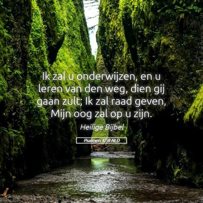 Picture 05 - Psalmen 32:8 NLD - Ik zal u onderwijzen, en u leren van den weg, - Bible Verse Picture