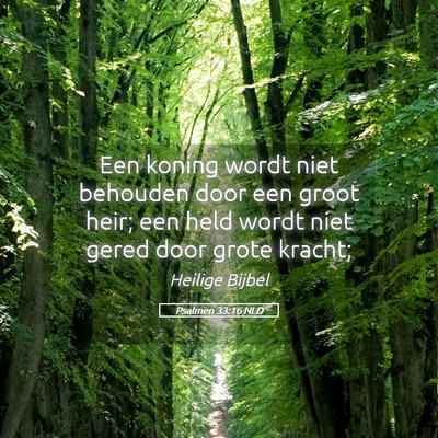 Picture 05 - Psalmen 33:16 NLD - Een koning wordt niet behouden door een groot - Bible Verse Picture
