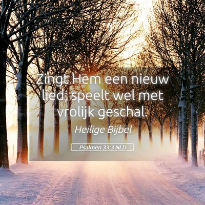 Picture 05 - Psalmen 33:3 NLD - Zingt Hem een nieuw lied; speelt wel met vrolijk - Bible Verse Picture