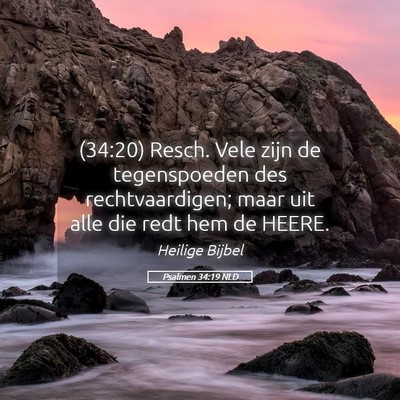 Picture 05 - Psalmen 34:19 NLD - (34:20) Resch. Vele zijn de tegenspoeden des - Bible Verse Picture