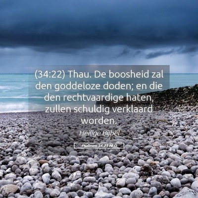 Picture 05 - Psalmen 34:21 NLD - (34:22) Thau. De boosheid zal den goddeloze - Bible Verse Picture