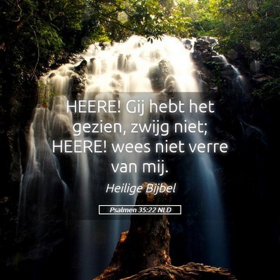 Picture 05 - Psalmen 35:22 NLD - HEERE! Gij hebt het gezien, zwijg niet; HEERE! - Bible Verse Picture
