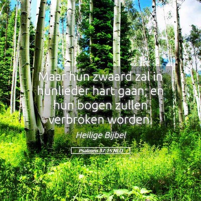 Picture 05 - Psalmen 37:15 NLD - Maar hun zwaard zal in hunlieder hart gaan; en - Bible Verse Picture