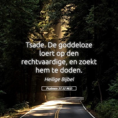 Picture 05 - Psalmen 37:32 NLD - Tsade. De goddeloze loert op den rechtvaardige, - Bible Verse Picture