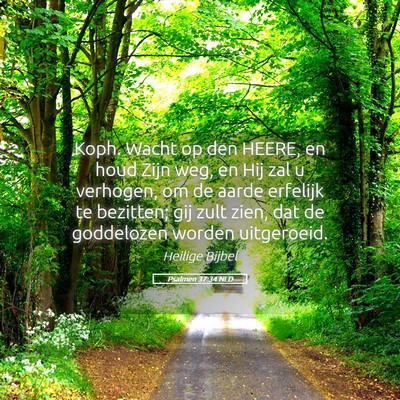 Picture 05 - Psalmen 37:34 NLD - Koph. Wacht op den HEERE, en houd Zijn weg, en - Bible Verse Picture