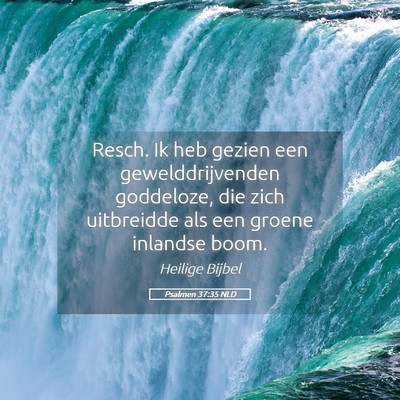 Picture 05 - Psalmen 37:35 NLD - Resch. Ik heb gezien een gewelddrijvenden - Bible Verse Picture