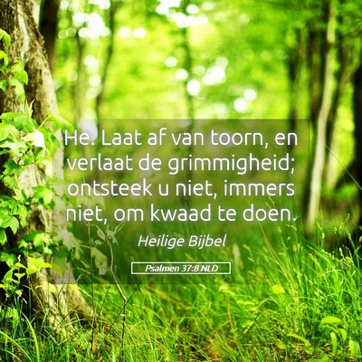Picture 05 - Psalmen 37:8 NLD - He. Laat af van toorn, en verlaat de grimmigheid; - Bible Verse Picture