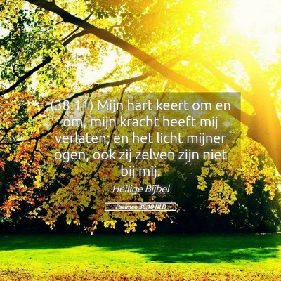 Picture 05 - Psalmen 38:10 NLD - (38:11) Mijn hart keert om en om, mijn kracht - Bible Verse Picture