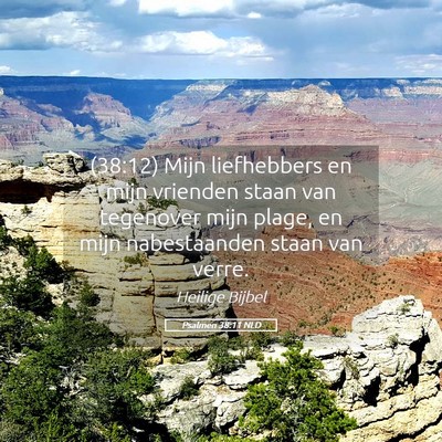 Picture 05 - Psalmen 38:11 NLD - (38:12) Mijn liefhebbers en mijn vrienden staan - Bible Verse Picture