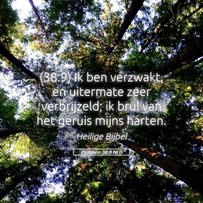 Picture 05 - Psalmen 38:8 NLD - (38:9) Ik ben verzwakt, en uitermate zeer - Bible Verse Picture