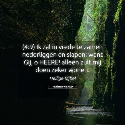 Picture 05 - Psalmen 4:8 NLD - (4:9) Ik zal in vrede te zamen nederliggen en - Bible Verse Picture