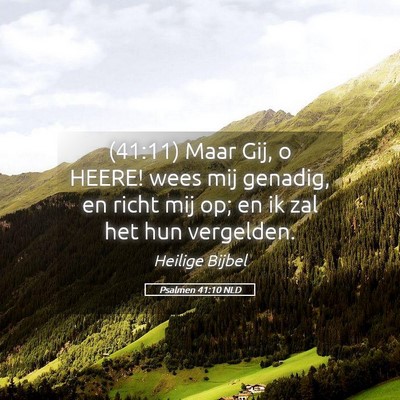 Picture 05 - Psalmen 41:10 NLD - (41:11) Maar Gij, o HEERE! wees mij genadig, en - Bible Verse Picture