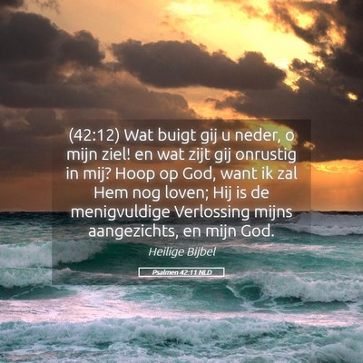 Picture 05 - Psalmen 42:11 NLD - (42:12) Wat buigt gij u neder, o mijn ziel! en - Bible Verse Picture