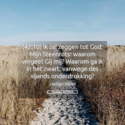 Picture 05 - Psalmen 42:9 NLD - (42:10) Ik zal zeggen tot God: Mijn Steenrots! - Bible Verse Picture