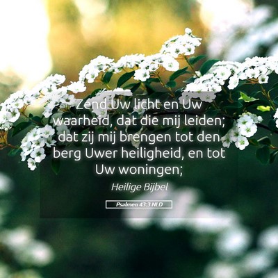 Picture 05 - Psalmen 43:3 NLD - Zend Uw licht en Uw waarheid, dat die mij leiden; - Bible Verse Picture
