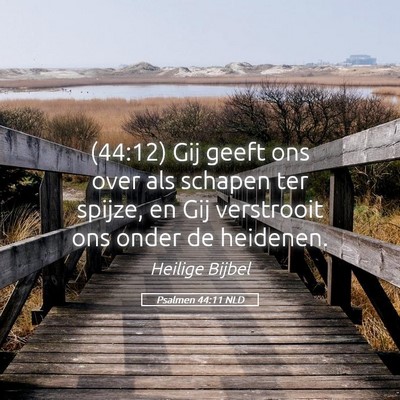 Picture 05 - Psalmen 44:11 NLD - (44:12) Gij geeft ons over als schapen ter - Bible Verse Picture