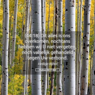 Picture 05 - Psalmen 44:17 NLD - (44:18) Dit alles is ons overkomen, nochtans - Bible Verse Picture