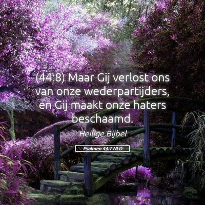 Picture 05 - Psalmen 44:7 NLD - (44:8) Maar Gij verlost ons van onze - Bible Verse Picture