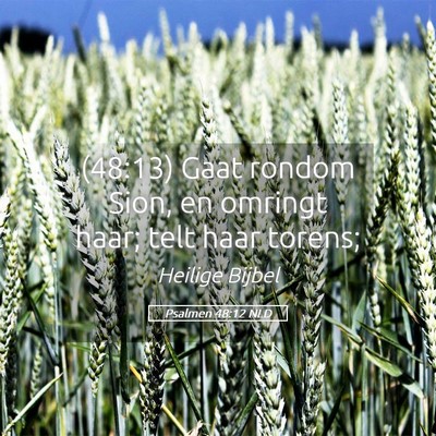 Picture 05 - Psalmen 48:12 NLD - (48:13) Gaat rondom Sion, en omringt haar; telt - Bible Verse Picture