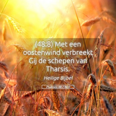 Picture 05 - Psalmen 48:7 NLD - (48:8) Met een oostenwind verbreekt Gij de - Bible Verse Picture