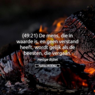 Picture 05 - Psalmen 49:20 NLD - (49:21) De mens, die in waarde is, en geen - Bible Verse Picture