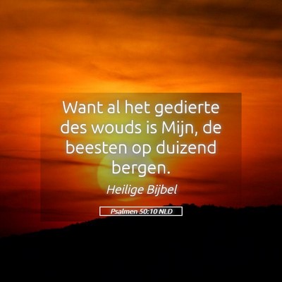 Picture 05 - Psalmen 50:10 NLD - Want al het gedierte des wouds is Mijn, de - Bible Verse Picture