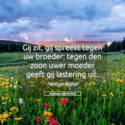 Picture 05 - Psalmen 50:20 NLD - Gij zit, gij spreekt tegen uw broeder; tegen den - Bible Verse Picture