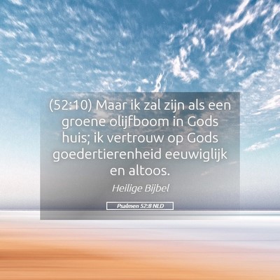 Picture 05 - Psalmen 52:8 NLD - (52:10) Maar ik zal zijn als een groene olijfboom - Bible Verse Picture