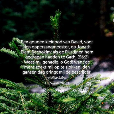 Picture 05 - Psalmen 56:1 NLD - Een gouden kleinood van David, voor den - Bible Verse Picture