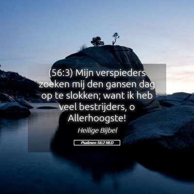 Picture 05 - Psalmen 56:2 NLD - (56:3) Mijn verspieders zoeken mij den gansen dag - Bible Verse Picture