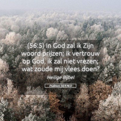 Picture 05 - Psalmen 56:4 NLD - (56:5) In God zal ik Zijn woord prijzen; ik - Bible Verse Picture