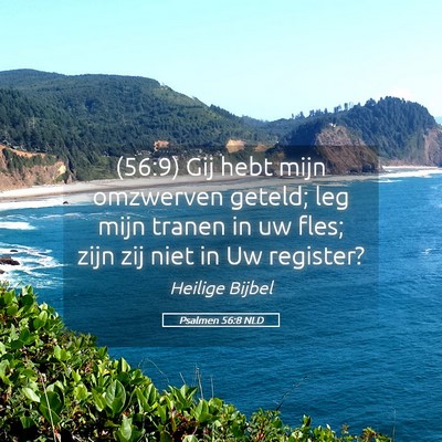 Picture 05 - Psalmen 56:8 NLD - (56:9) Gij hebt mijn omzwerven geteld; leg mijn - Bible Verse Picture