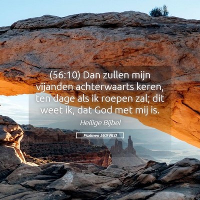 Picture 05 - Psalmen 56:9 NLD - (56:10) Dan zullen mijn vijanden achterwaarts - Bible Verse Picture