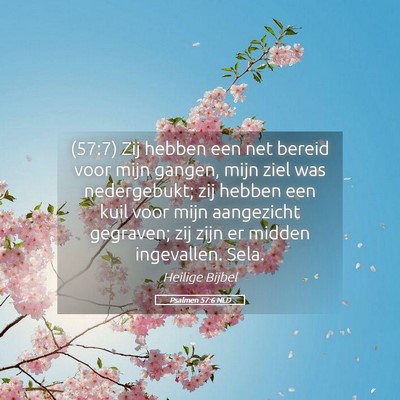 Picture 05 - Psalmen 57:6 NLD - (57:7) Zij hebben een net bereid voor mijn - Bible Verse Picture