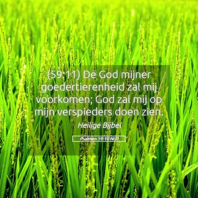 Picture 05 - Psalmen 59:10 NLD - (59:11) De God mijner goedertierenheid zal mij - Bible Verse Picture